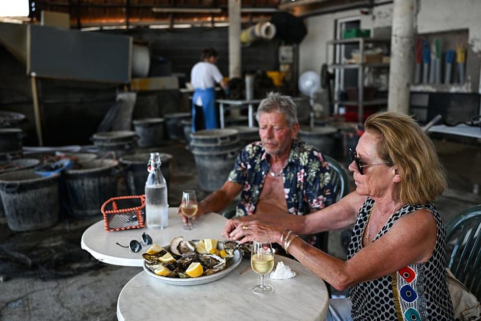 Eighth Fatal Vibrio Infection Reported in Florida as Gulf Coast Cases Near 30
