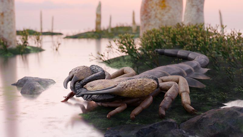 Largest Known Devonian Scorpion Confirmed from UK Fossils