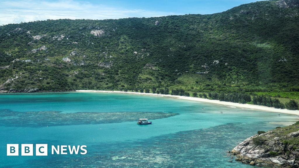 Cruise Passenger Found Dead After Being Left Behind on Lizard Island