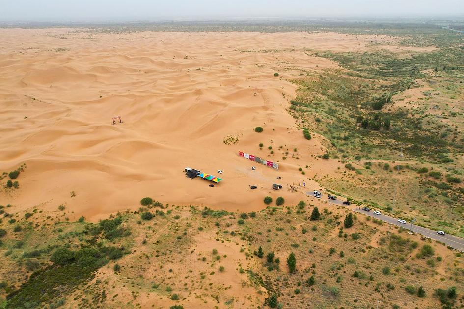 Study Shows Great Green Wall Trees Outpace Natural Forests in Growth