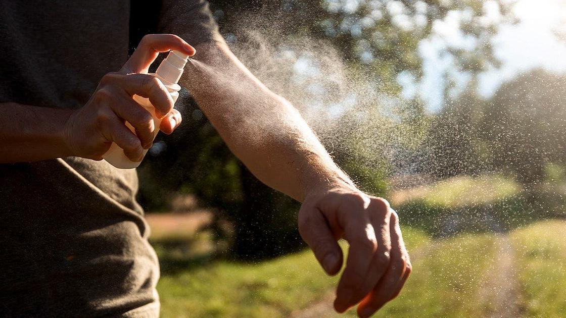 Florida Reports 41 Locally Acquired Dengue Cases Amid Mosquito Control Efforts