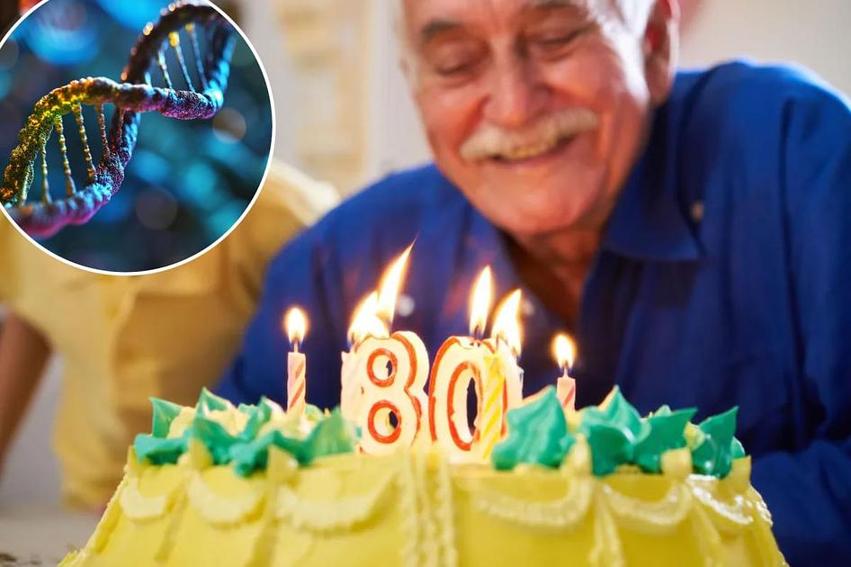 Russian researchers model theoretical human lifespan ceiling of up to 194 years