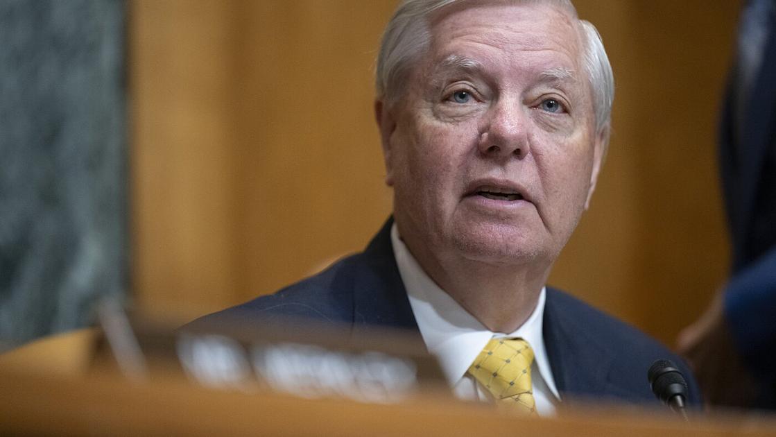 Senate Republicans Passed Budget to Fund ICE and Border Patrol