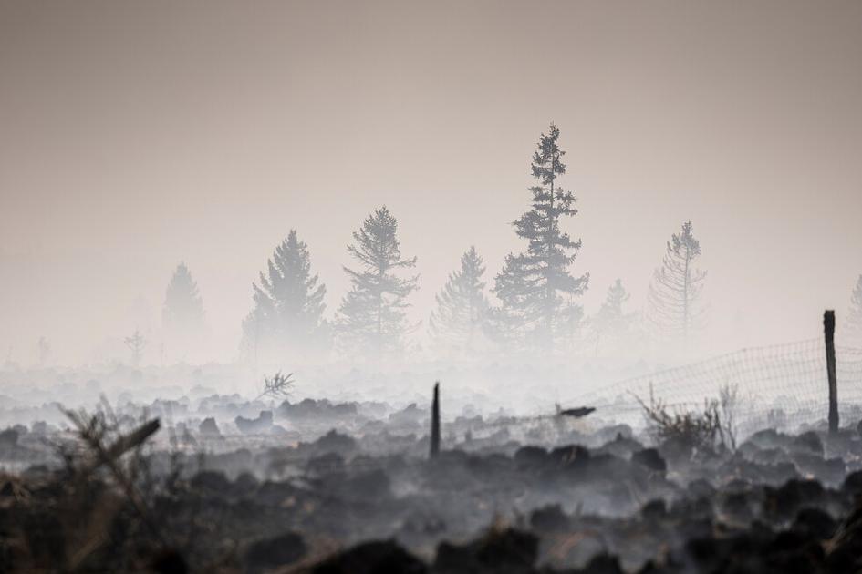 Belgian High Fens wildfire spreads 30 sq km, Greece tames airport blaze