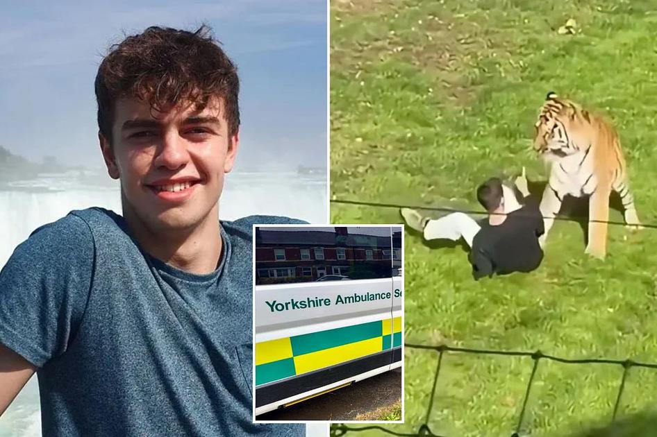 Yorkshire Ambulance Trust probes unauthorized medical record access after tiger attack