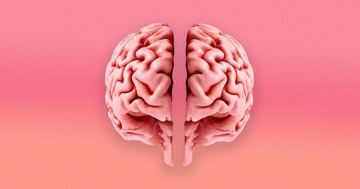 Stanford Study Reveals Separate Progenitor Origins for Forebrain and Hindbrain