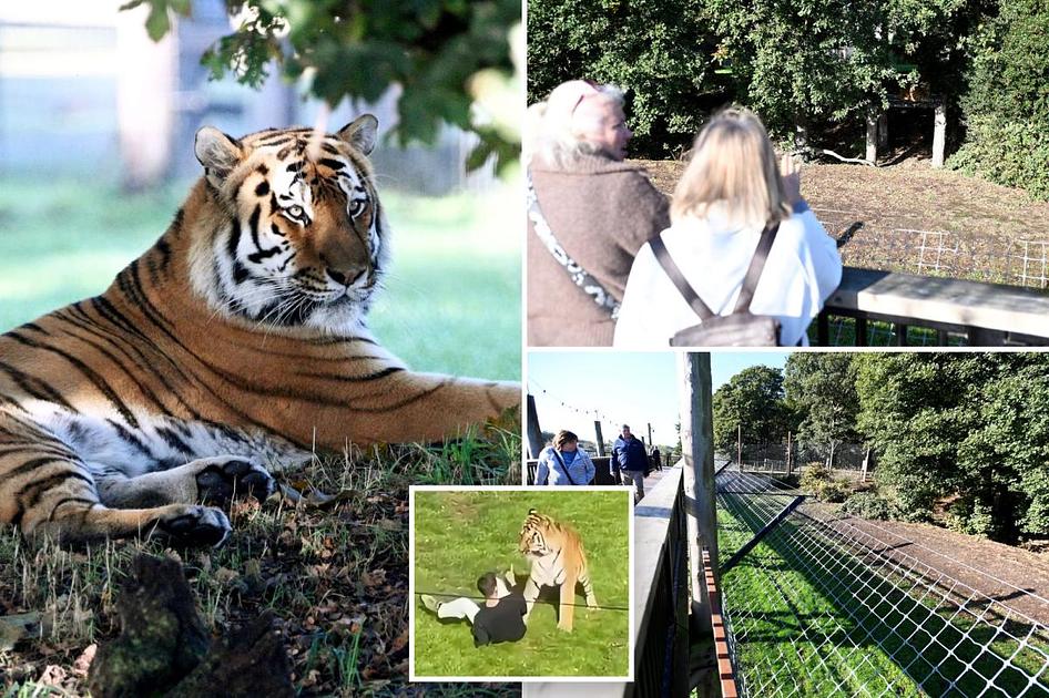 Yorkshire Wildlife Park reopens tiger enclosure after fatal attack