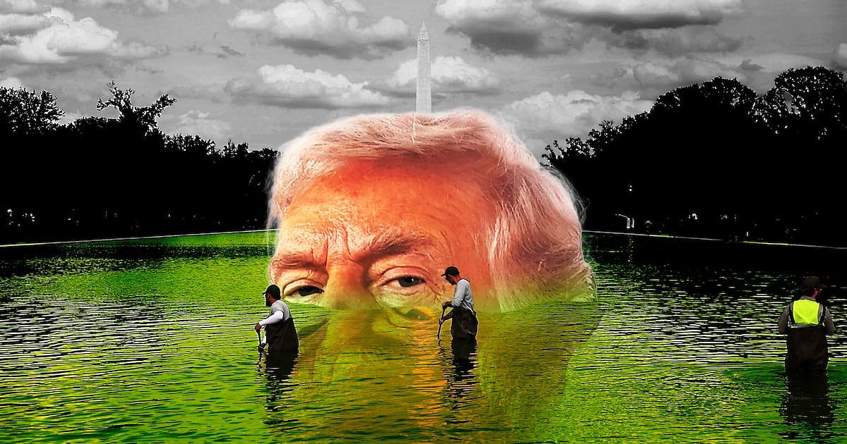 Trump claims vandals damaged Lincoln Reflecting Pool, officials dispute