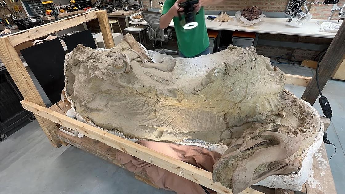 Wyoming's 'Mummy Zone' Yields Exceptionally Preserved Dinosaur Fossils