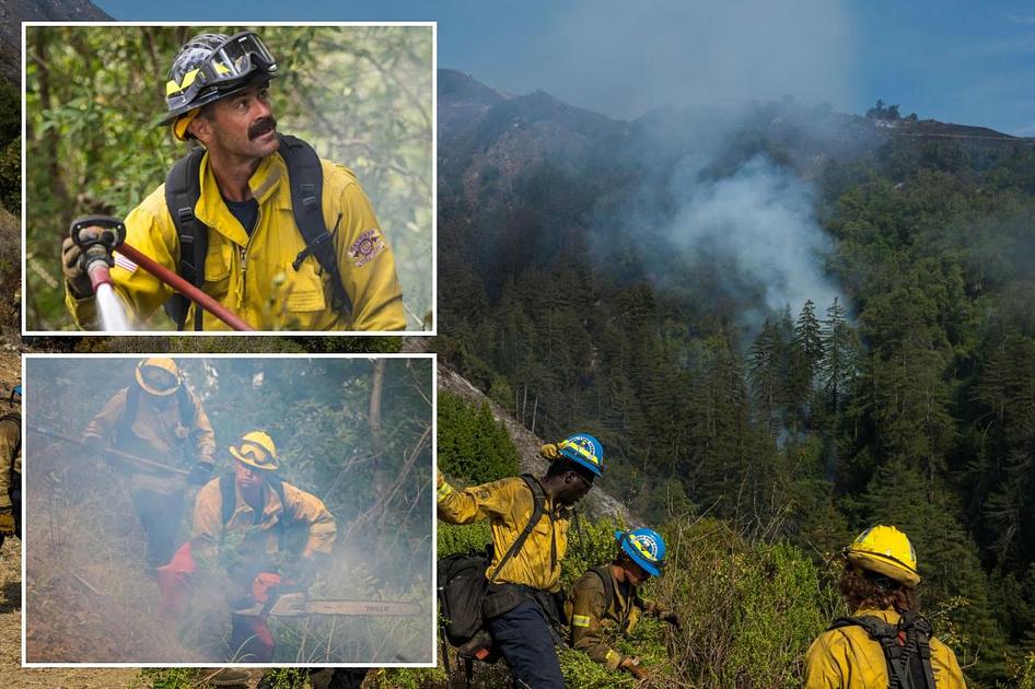 Big Sur Timber Fire Swells to Nearly 4,000 Acres, Threatens 350 Structures