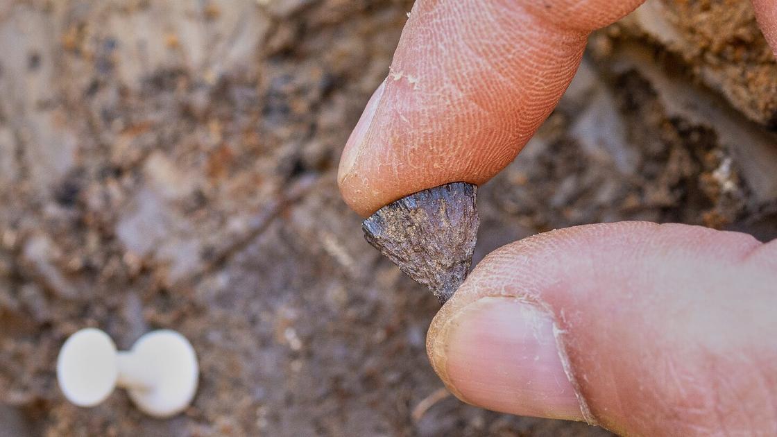 Earliest Evidence of Human Fire-Making Discovered in England