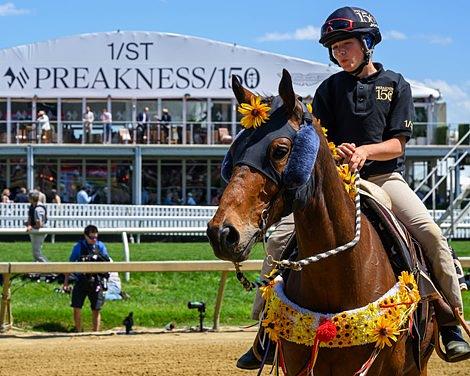 Maryland Jockey Club Sets 2027 Preakness for May 23, Aligning with Memorial Day
