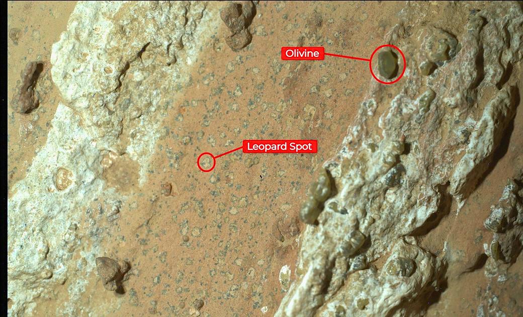 NASA's Perseverance Rover Identifies Potential Biosignatures on Mars
