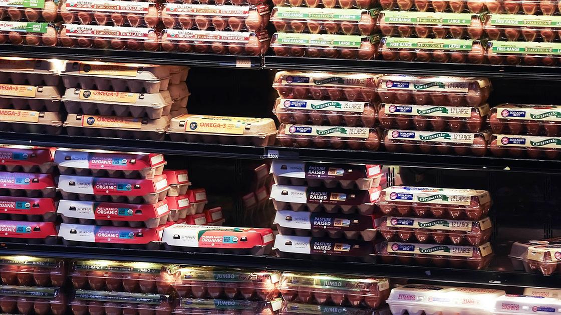 DOJ y estados proponen acuerdos con tres productores de huevos