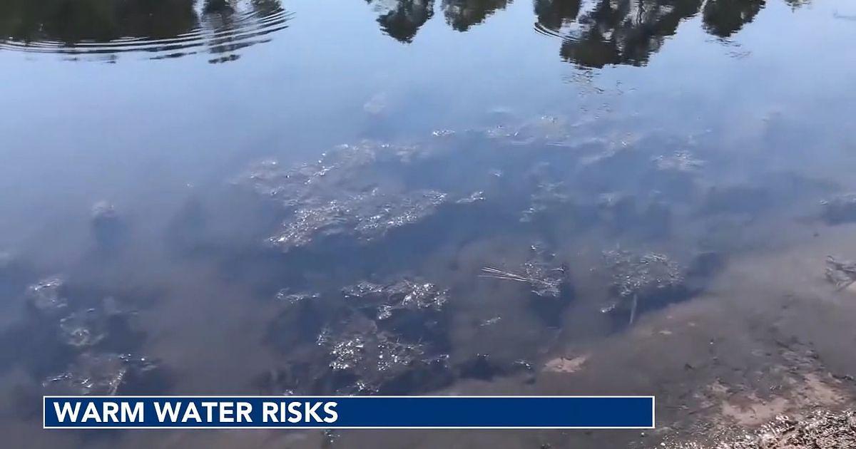 Rising temperatures broaden waterborne pathogen risk in North Carolina