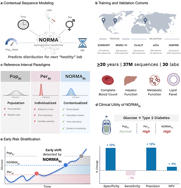 Researchers Develop NORMA AI to Improve Blood Test Analysis