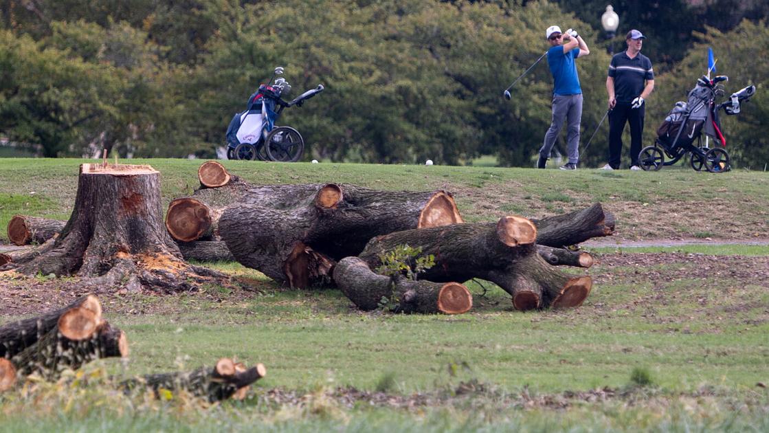 U.S. Judge Extends Order Blocking Tree Cutting at East Potomac Golf Links