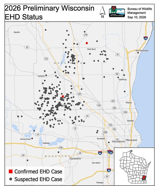 Wisconsin DNR Confirms Over 1,100 Deer Deaths in EHD Outbreak