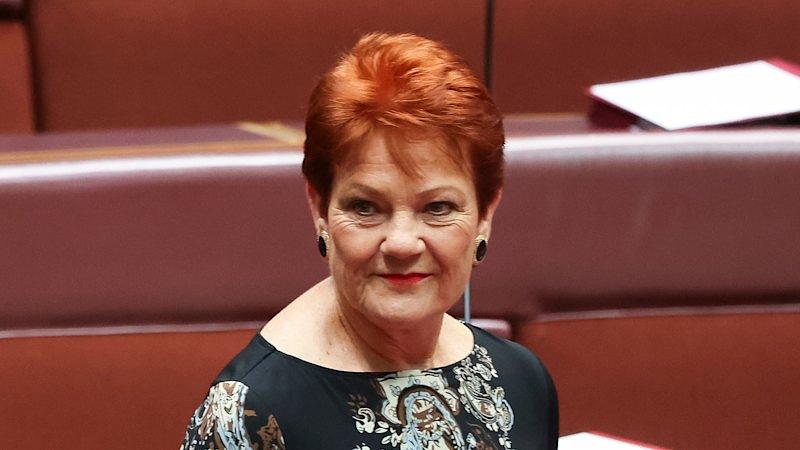Angus Taylor Elected Liberal Party Leader, Succeeding Sussan Ley