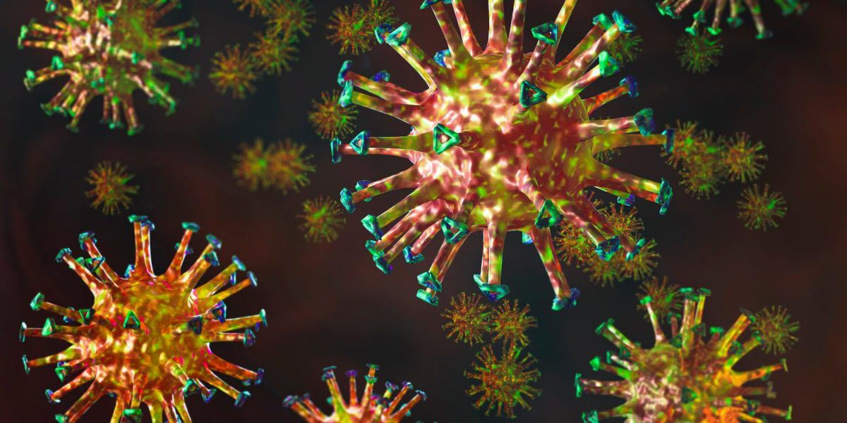 COVID-19 Cases Climb Across All U.S. States as Summer Ends