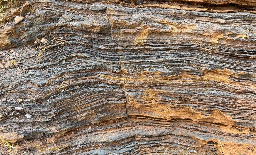 Discovery of Ancient Eukaryotic Fossils in Australian Rock Cores