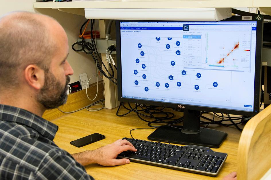Study Reveals ER-Phagy's Role in Aging and Disease