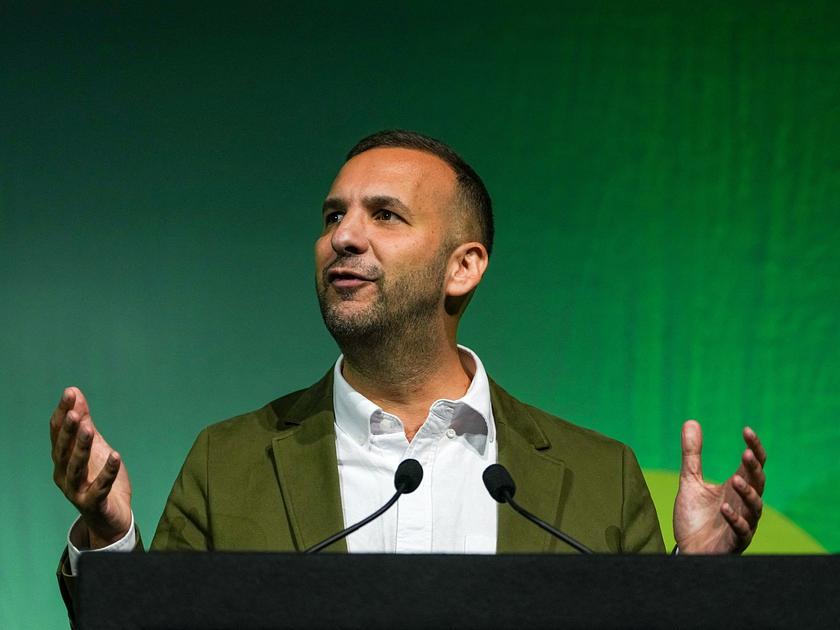 Green Party leader seeks rule changes after Zionism motion passes
