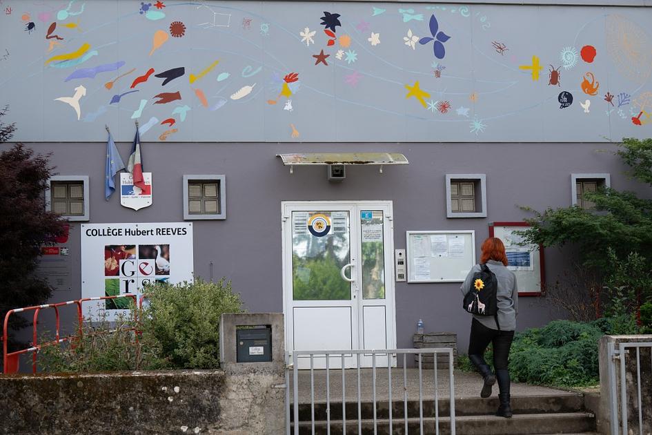 France faces backlash over handling of 11-year-old girl's murder and abuse warnings