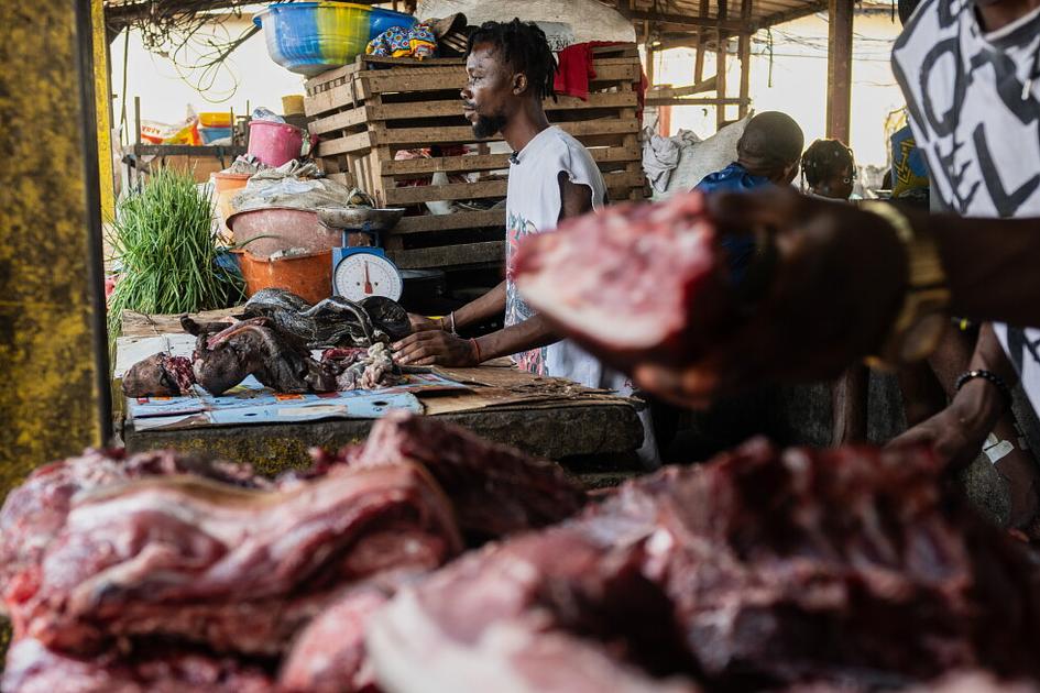 Ebola Outbreak in Eastern Congo Linked to Wild Meat Consumption
