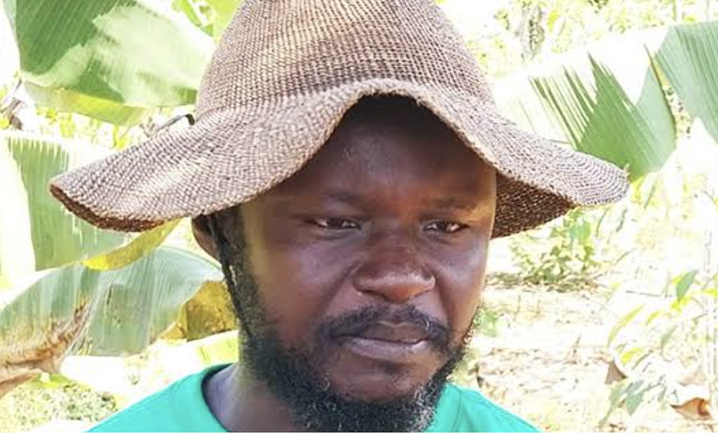 Ghanaian Farmers Urge Depoliticization of Cocoa Sector Amidst Allegations of Mismanagement