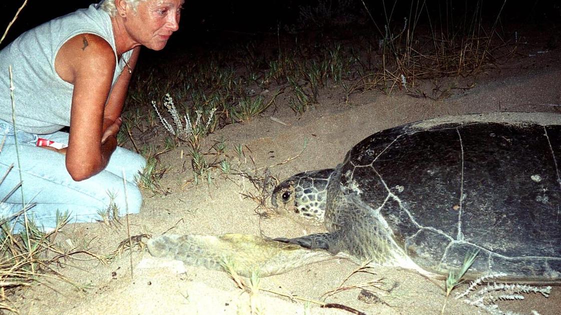 Lebanese Turtle Conservationist Mona Khalil Killed in Israeli Airstrike