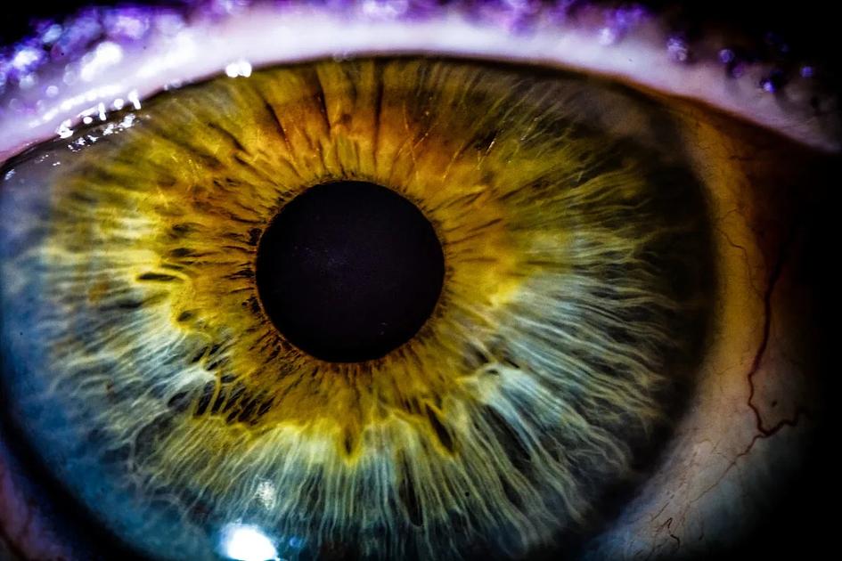 Researchers Begin First Human Trial of Epigenetic Therapy for Glaucoma