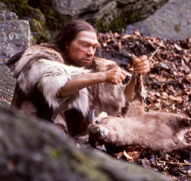 Study Reveals Predominant Interbreeding Between Neanderthal Males and Human Females