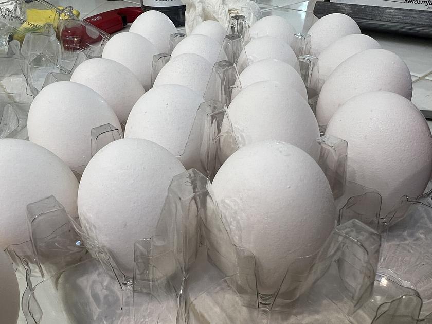 FDA upgrades Texas egg recall to highest-risk Class I