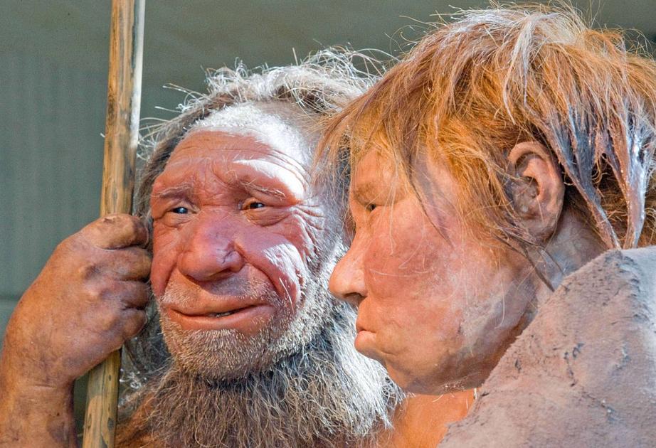 Study finds 75,000-year-old Neanderthal likely killed by spear