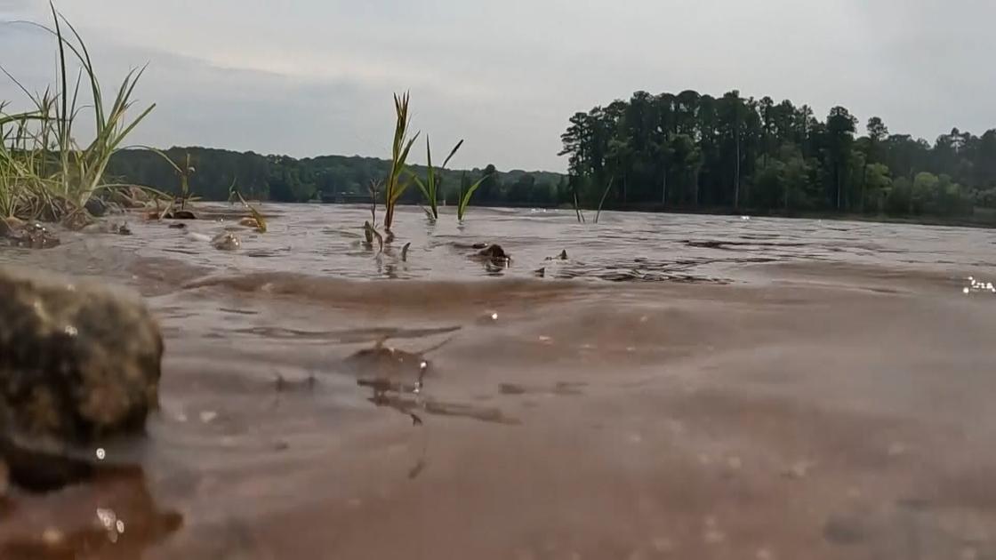 North Carolina teen critically ill with rare brain amoeba; source unknown