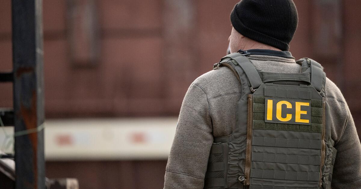 ICE moves ahead with $10-$20 million shock-glove procurement
