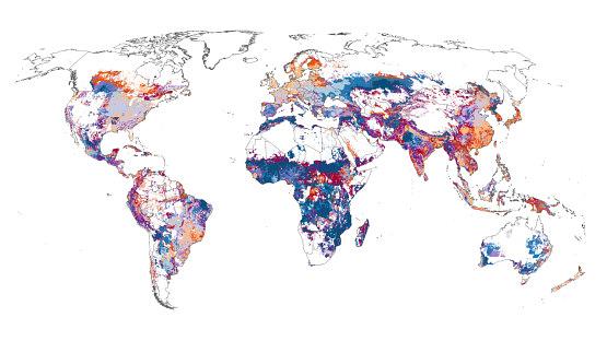 High-Resolution Maps Detail Global Cropland Emissions and Mitigation Strategies