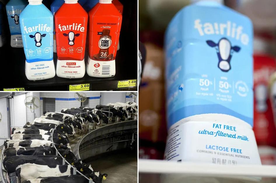 Coca-Cola’s Fairlife suspends U.S. milk production after ransomware attack