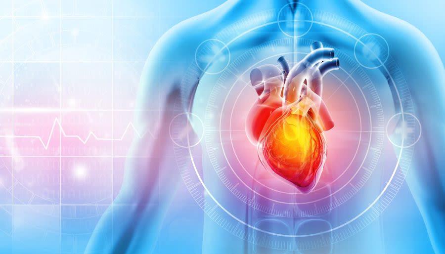 Study Links High Xylitol Levels to Greater Heart Attack and Stroke Risk