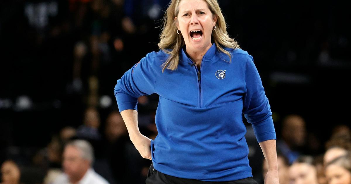 Lynx Coach Cheryl Reeve Suspended for Game 4 Against Mercury