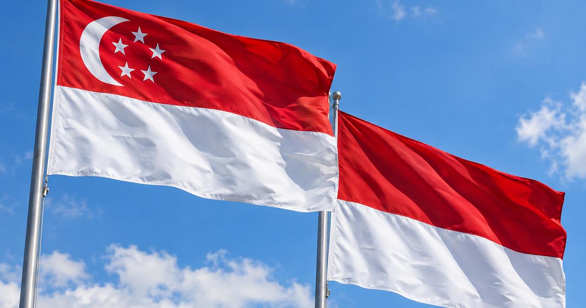 Indonesia and Singapore pledge cooperation after gas export cut
