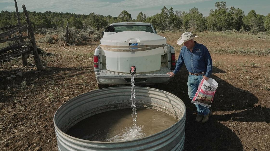 Heat dome forces cold-water treatment advice for 70 million Americans