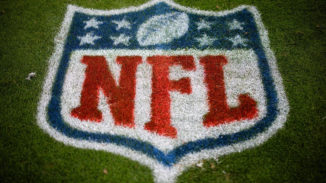 NFL Reviewing Fan Conduct in Steelers-Lions Game