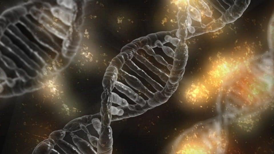 Ancient DNA Reveals 12,000-Year-Old Case of Rare Genetic Disorder