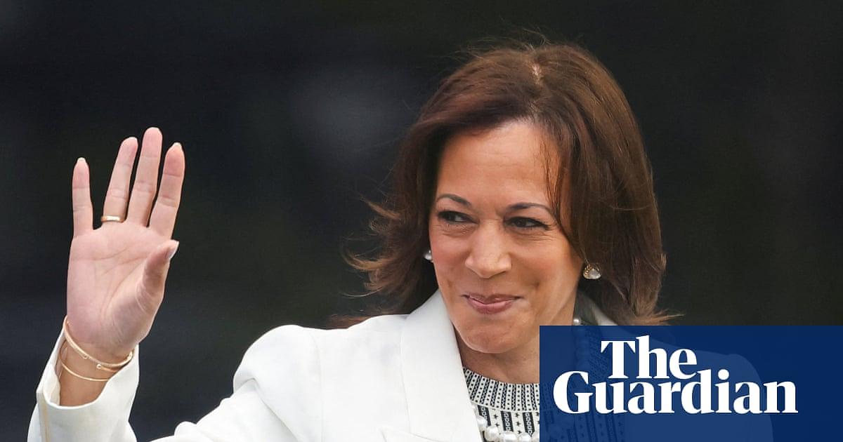 Police and security stop trespasser at Harris' Malibu home