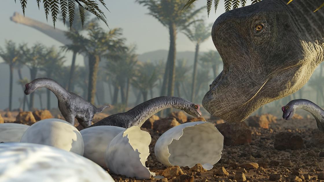 Juvenile Sauropods Were Key Prey for Late Jurassic Predators, Study Finds