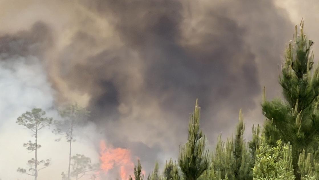 Georgia Wildfires Destroy Over 120 Homes, Prompt Evacuations