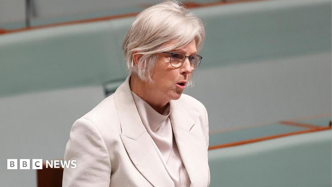 Australian MP Helen Haines' car attack leads to investigation and calls for civility