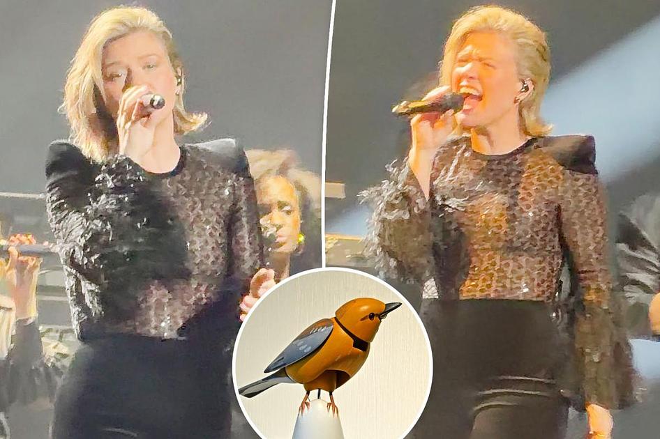 Brooklyn Store Raises Mechanical Bird Price to $15 Million After Kelly Clarkson Dispute